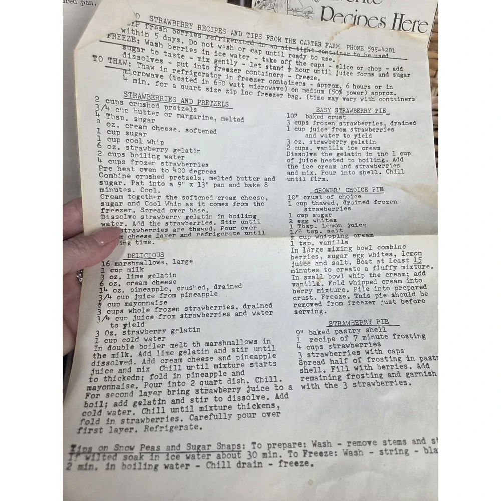Love's United Methodist Church Cookbook Walkertown NC 1984 Dishes Of Love Recipe